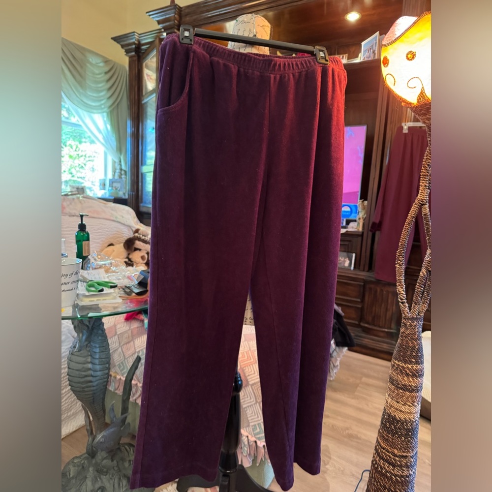 Alison Daley pm great shape pants. Velour with pockets